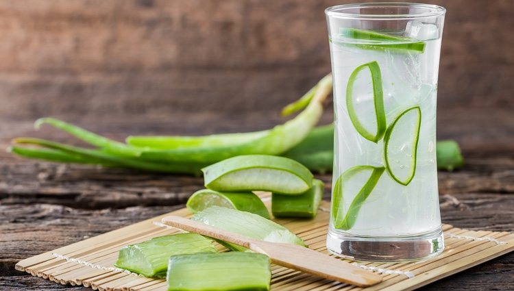 ¿Sabías que el aloe vera bebido contiene vitamina A, vitaminas del grupo B, vitamina C y E?