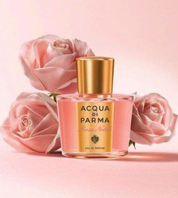 'Acqua di Parma Rosa Nobile'