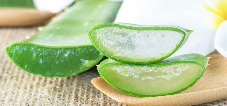 El aloe vera elimina las células muertas y ayuda a la regeneración de la piel