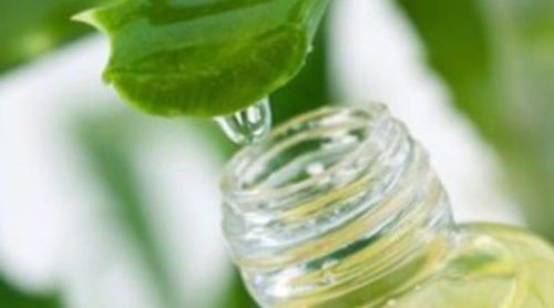 Aloe vera, la planta milagrosa para tu belleza