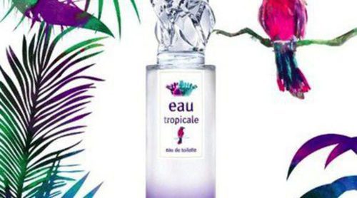 Descubre la fragancia más fresca del verano: 'Eau Tropicale' de Sisley