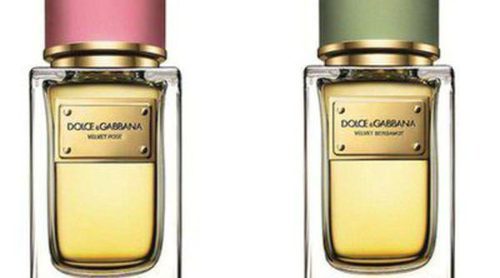 Velvet Rose y Velvet Bergamot, las nuevas fragancias de Dolce & Gabbana para verano 2014