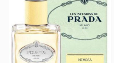 Prada y su colección aromática 'Les Infusions' incorporan la fragancia 'Mimosa'