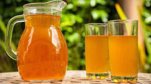 Los beneficios del té Kombucha