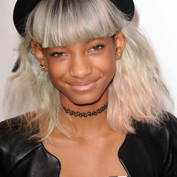 Willow Smith se tiñe el pelo de gris 