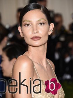 Lily Aldridge en la gala Met 2016